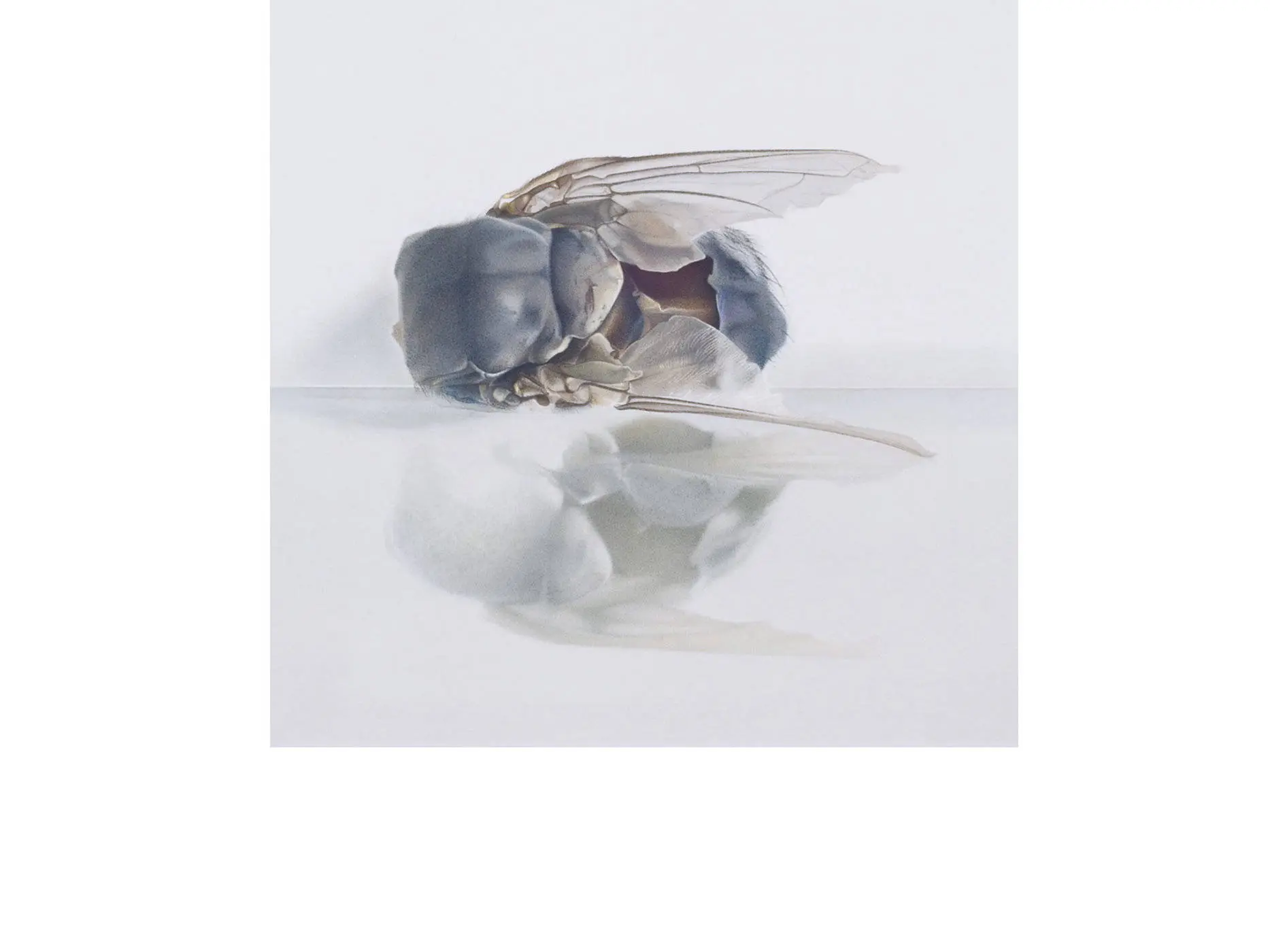 Christine_Leins_Magischer_Realismus_1992-1998