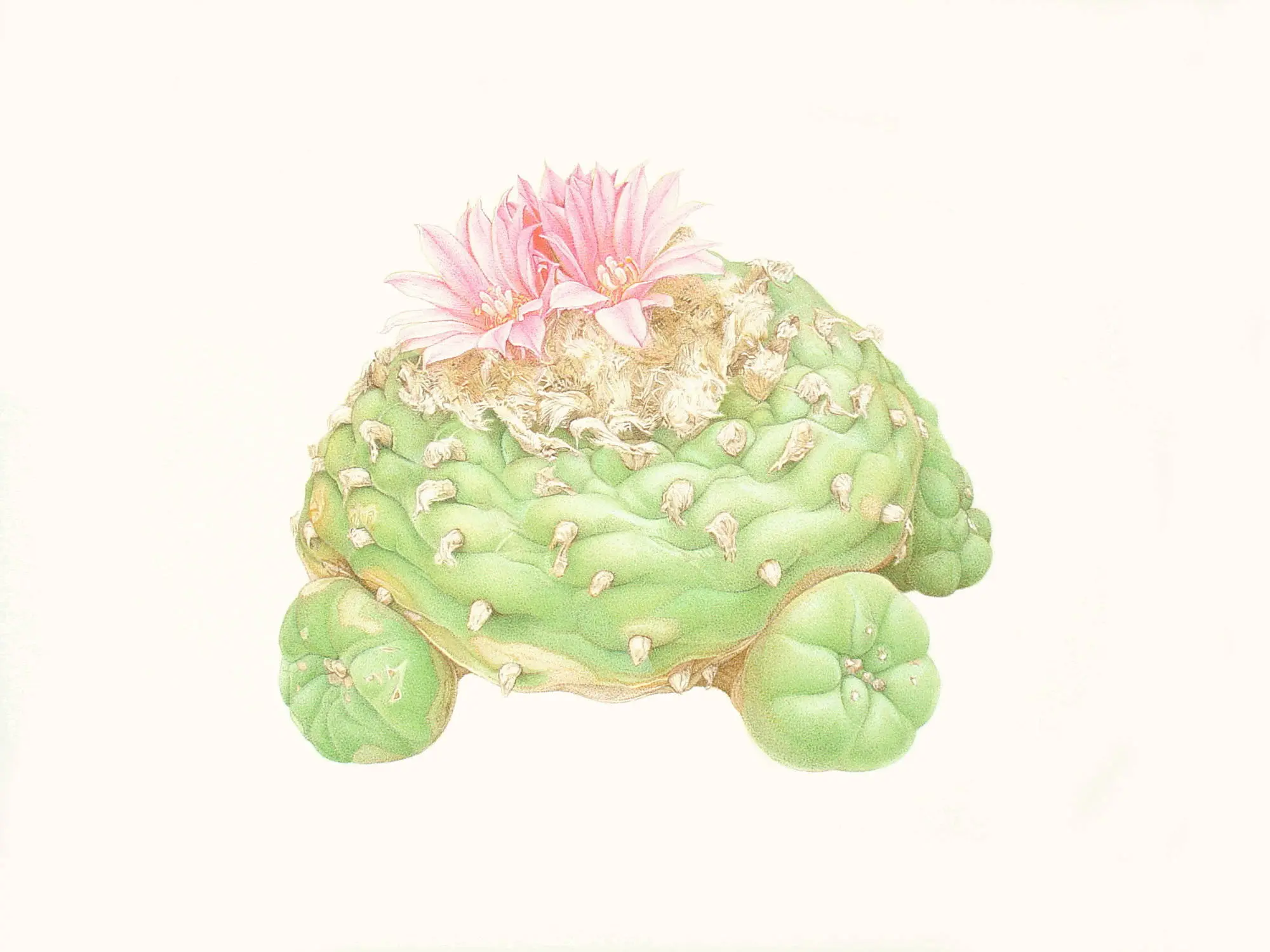 102_Christine-Leins_Aquarell_o.T._1998_44,5x33,5 cm