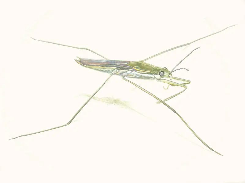 103_Christine-Leins_Aquarell_o.T._1998_45,5x34,5 cm