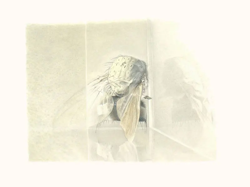 105_Christine-Leins_Aquarell_o.T._1997_28,0x39,5 cm_KuKa Wien