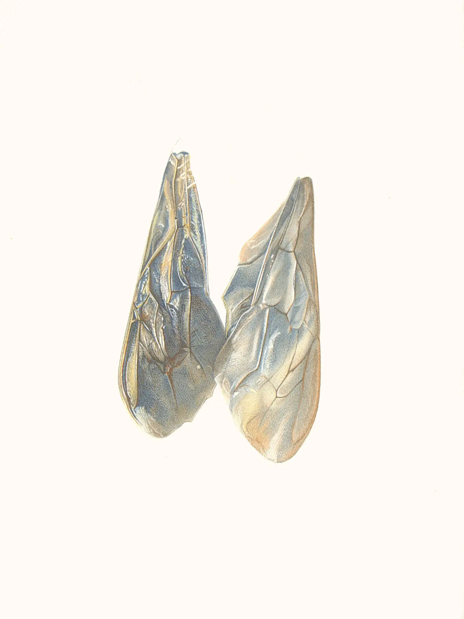 109_Christine-Leins_Aquarell_o.T._1997_35,0x25,0 cm