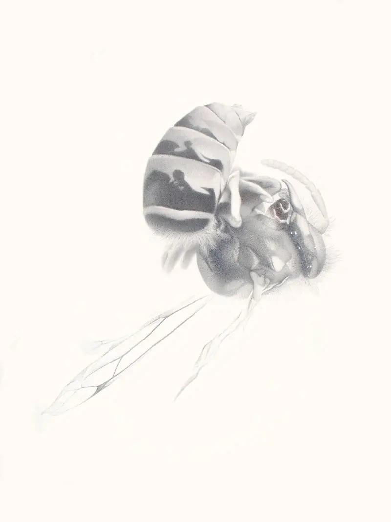 110_Christine-Leins_Aquarell_o.T._1997_38,0x28,5 cm