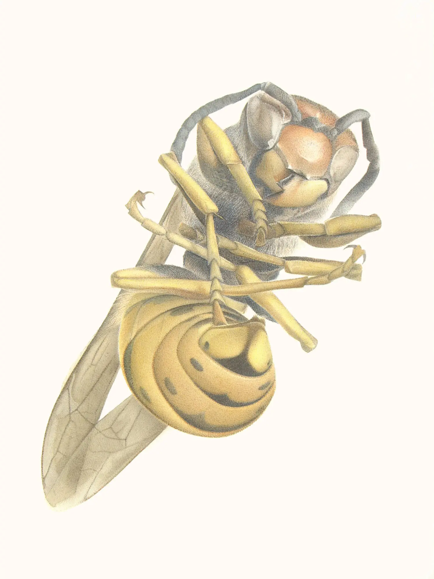 114_Christine-Leins_Aquarell_o.T._1995_38,0x28,5 cm