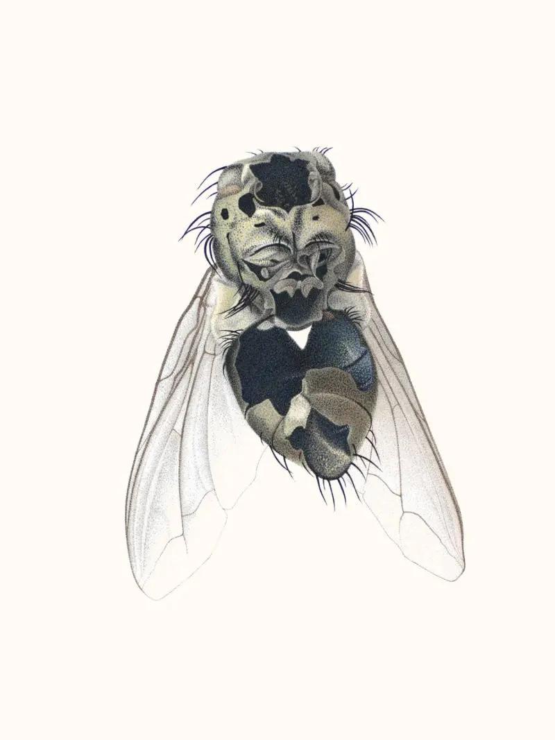 116_Christine-Leins_Aquarell_o.T._1995_38,0x28,5 cm