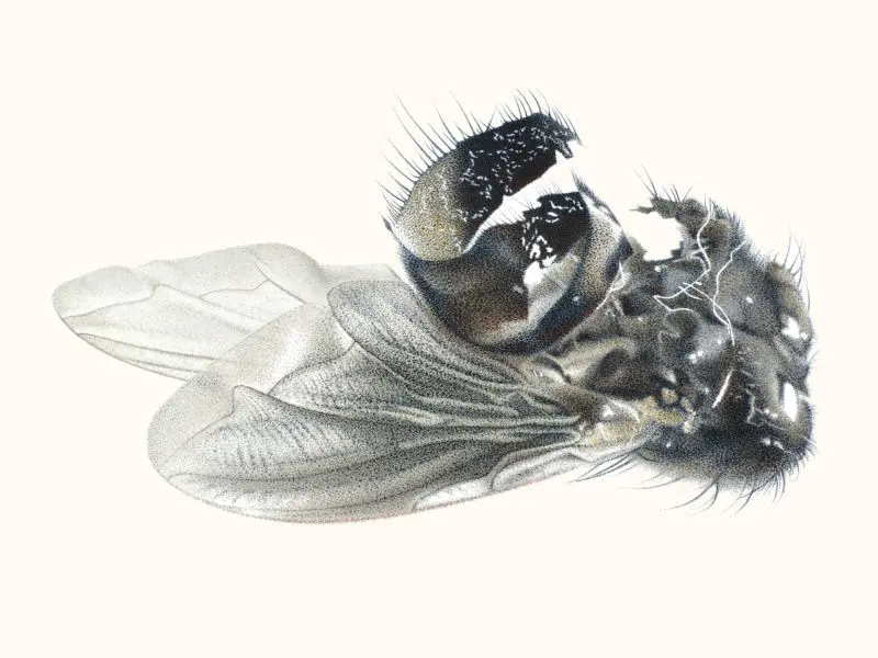 121_Christine-Leins_Aquarell_o.T._1995_38,0x28,5 cm