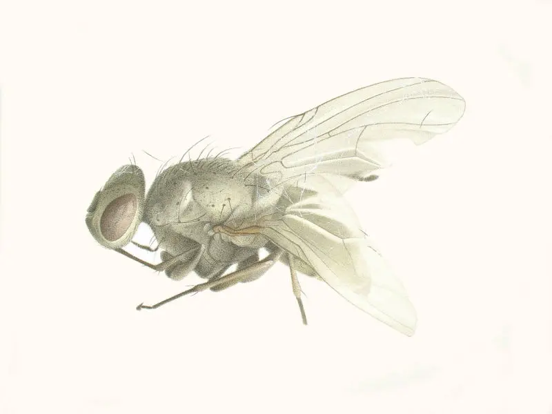 122_Christine-Leins_Aquarell_o.T._1994_38,0x29,0 cm