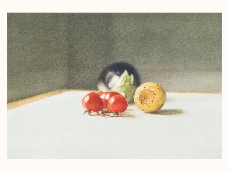 SL23_ChristineLeins_Aquarell_o.T._1999_35,5x45,0 (19,5x28,5) cm_Ausstellung Angermuseum Erfurt 2011