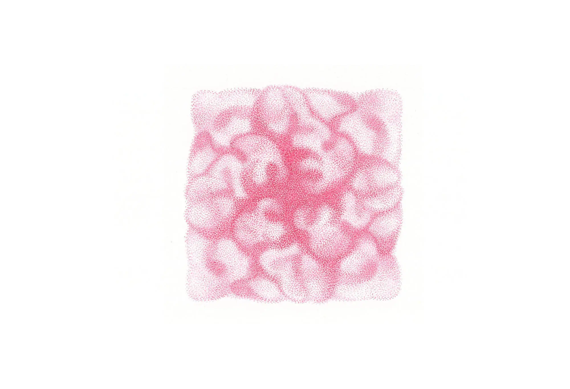 812_Christine-Leins_Öl_o.T._2019_40x40cm