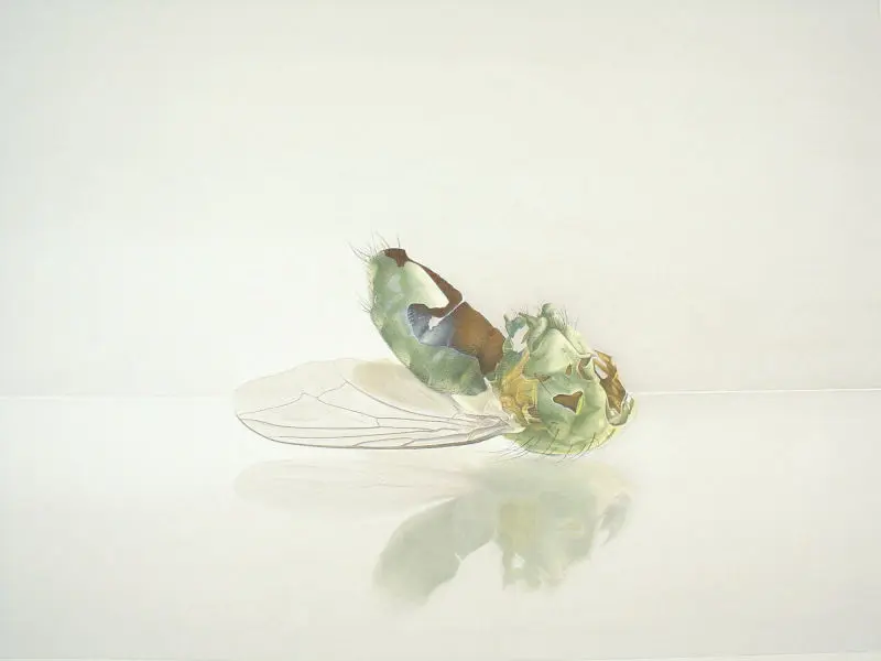 107_Christine-Leins_Aquarell_o.T._1996_ 29,5x39,5 cm