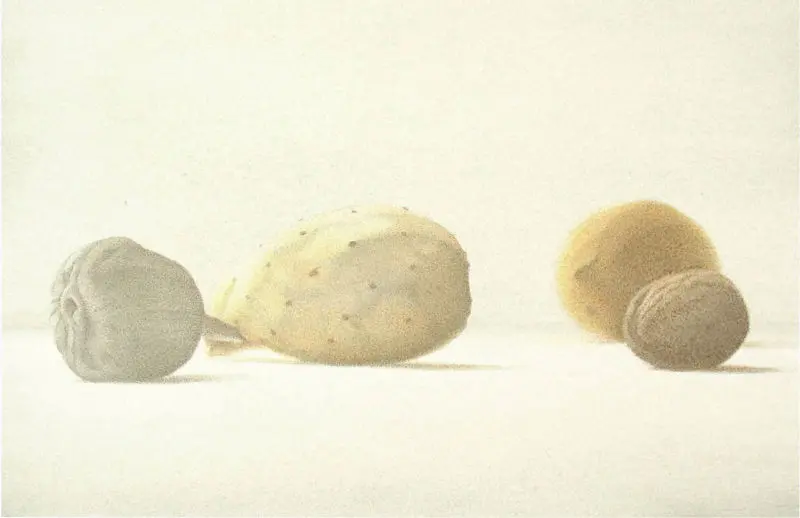 Slg02_Christine-Leins_Aquarell_o.T._2000_36,0x44,5 (19,3x27,5)cm_Staatsgalerie Stuttgart