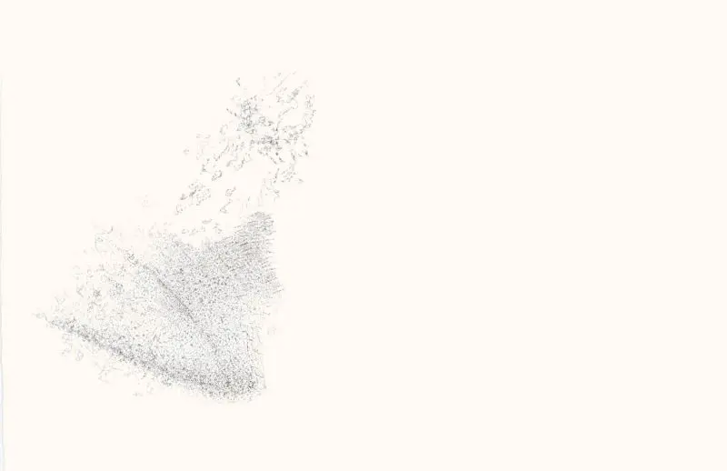 Slg04_Christine-Leins_Tusche_o.T._2008_57,5x38cm_Angermuseum Erfurt